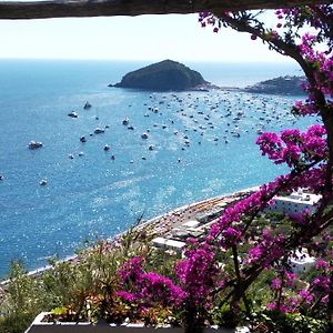 Hotel Villa Al Mare